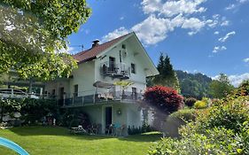 Mountainview Apartment Scheurer